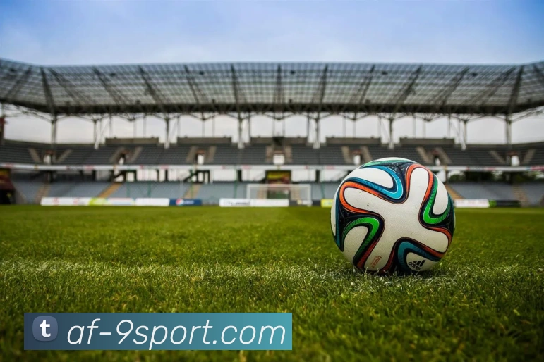 九游体育官网平台生态图